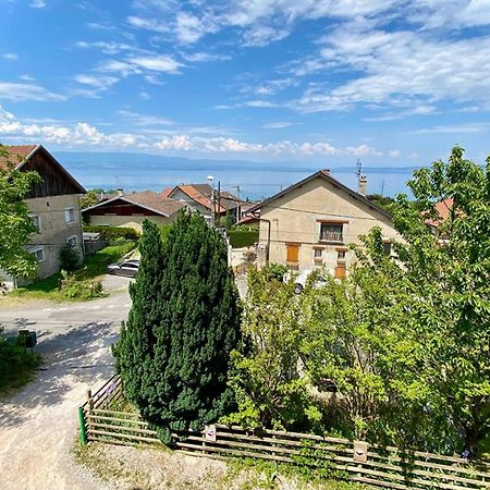 דירות Publier Maison Familiale Vue Lac Avec Jardin - A 10Mn Du Lac Et Stations De Ski מראה חיצוני תמונה